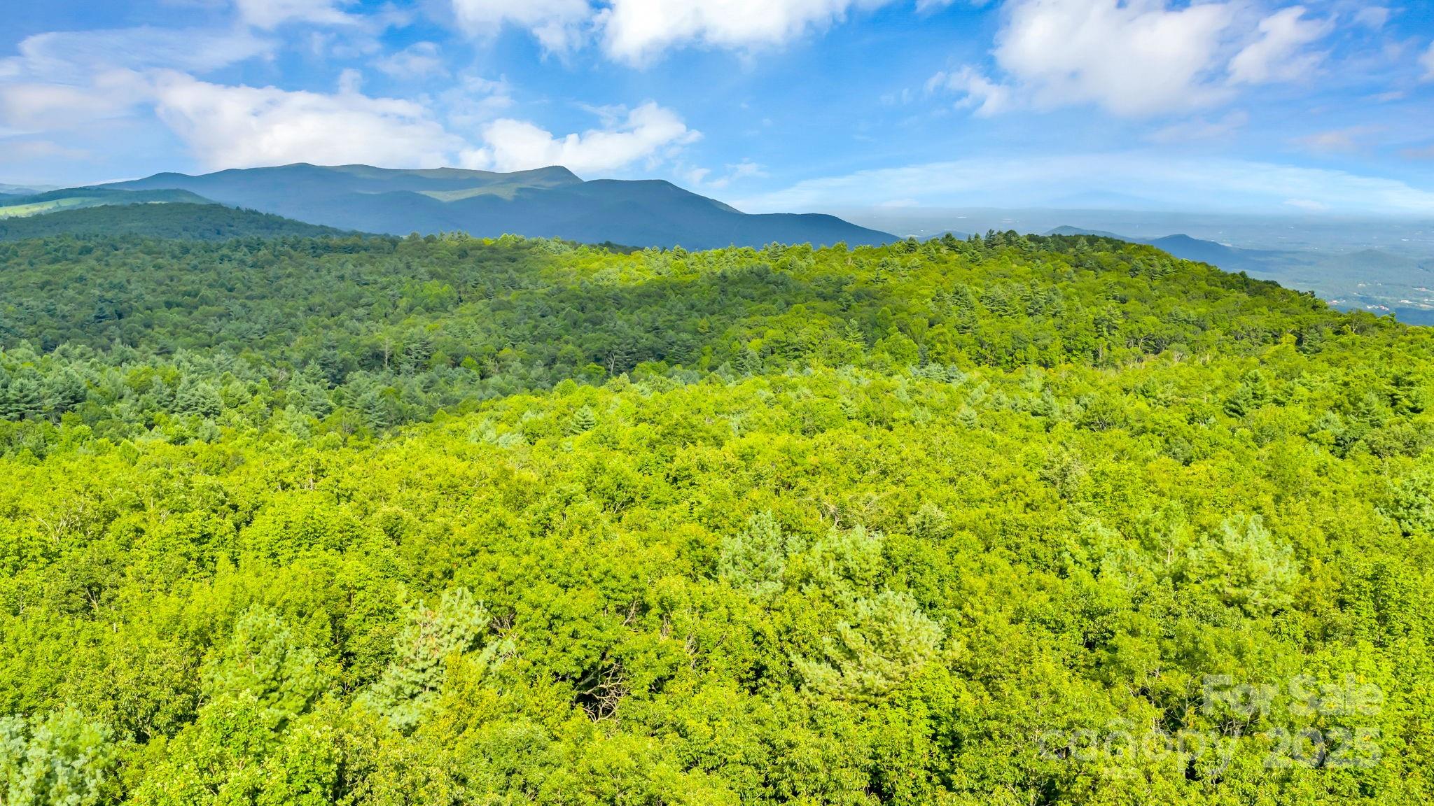Tbd Murphy Bend Road Ennice NC 28623