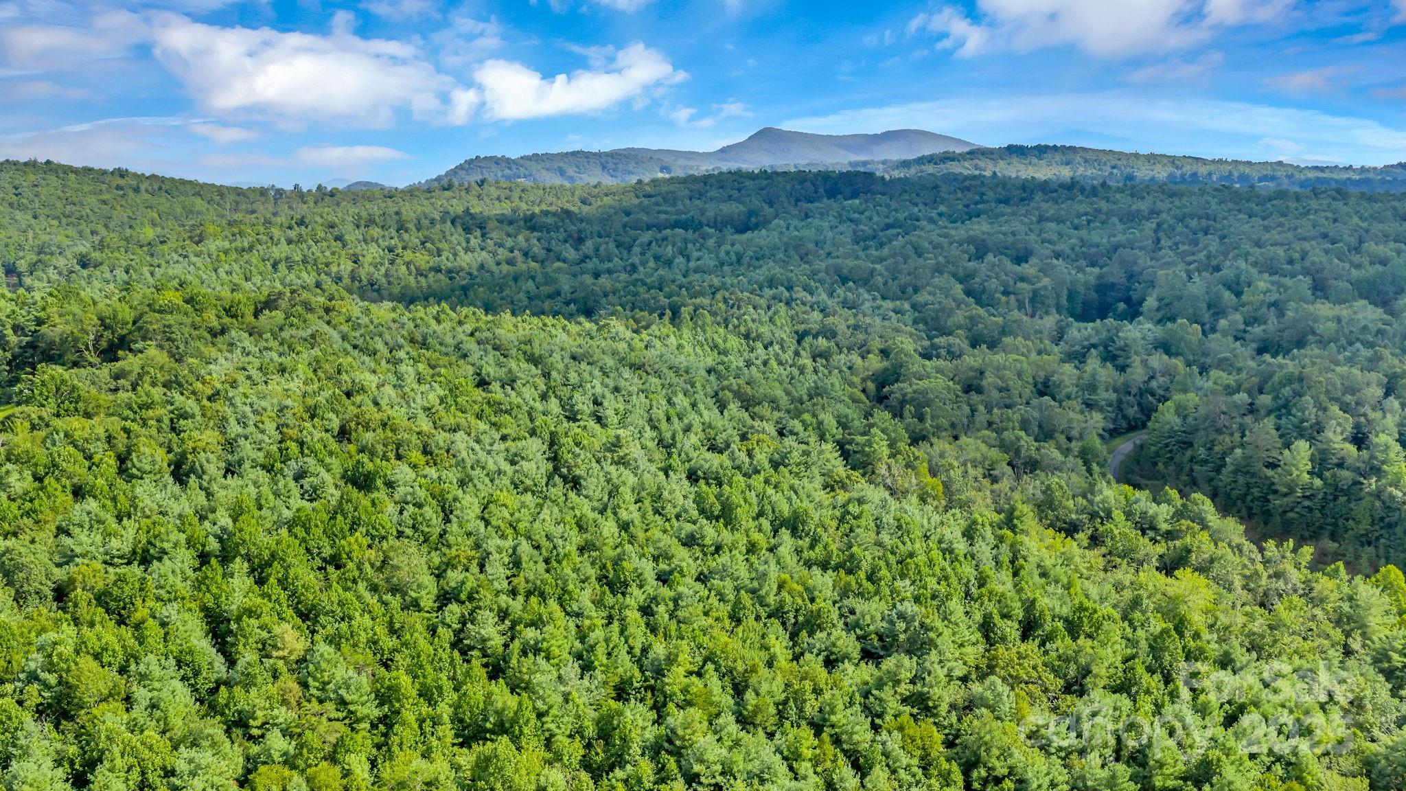 Tbd Murphy Bend Road Ennice NC 28623