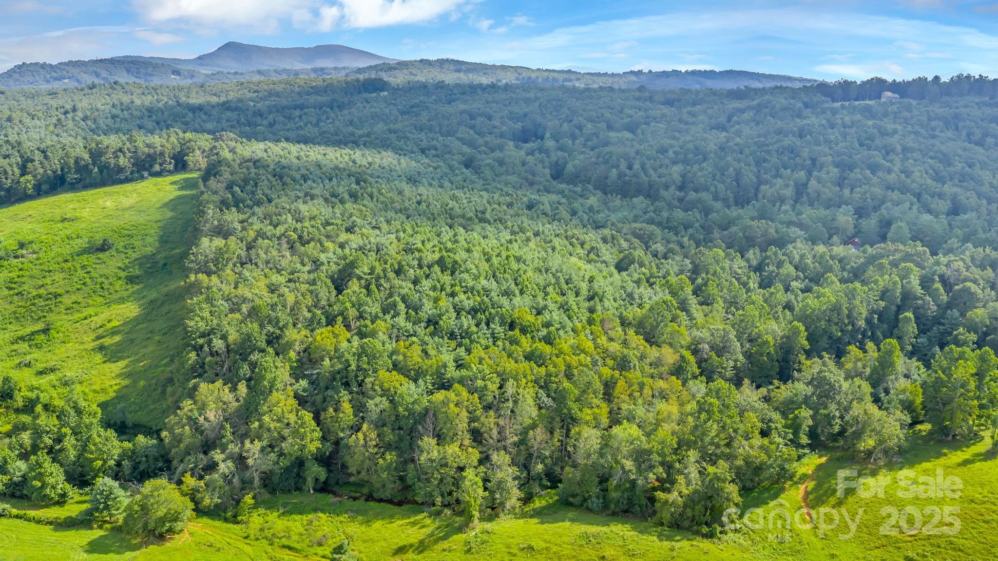 Tbd Murphy Bend Road Ennice NC 28623