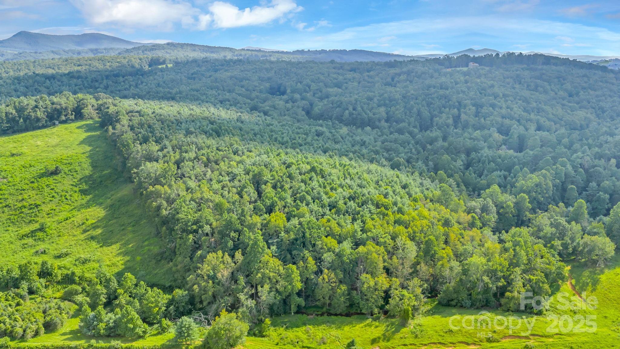 Tbd Murphy Bend Road Ennice NC 28623