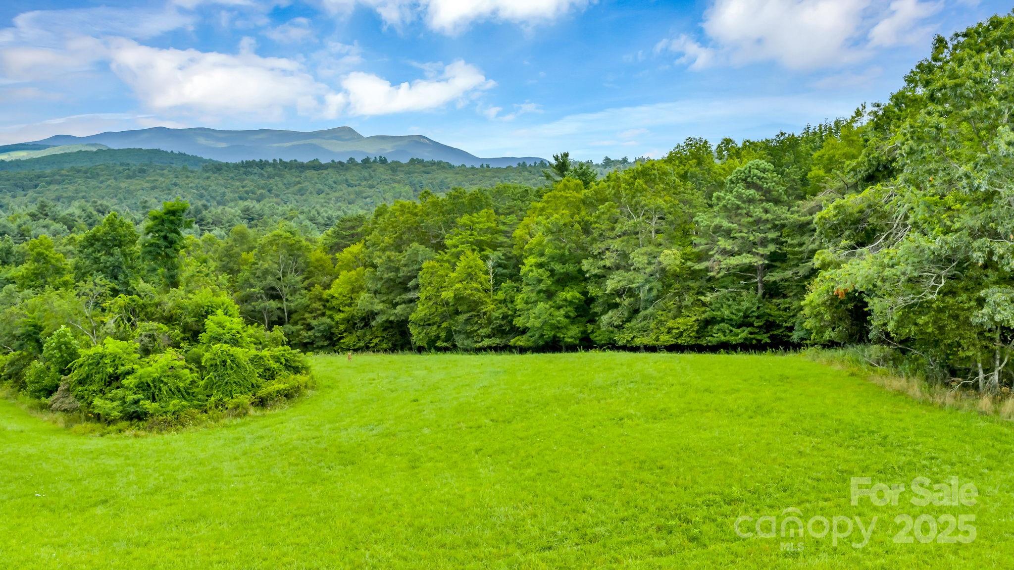 Tbd Murphy Bend Road Ennice NC 28623