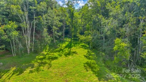 Tbd Murphy Bend Road Ennice NC 28623