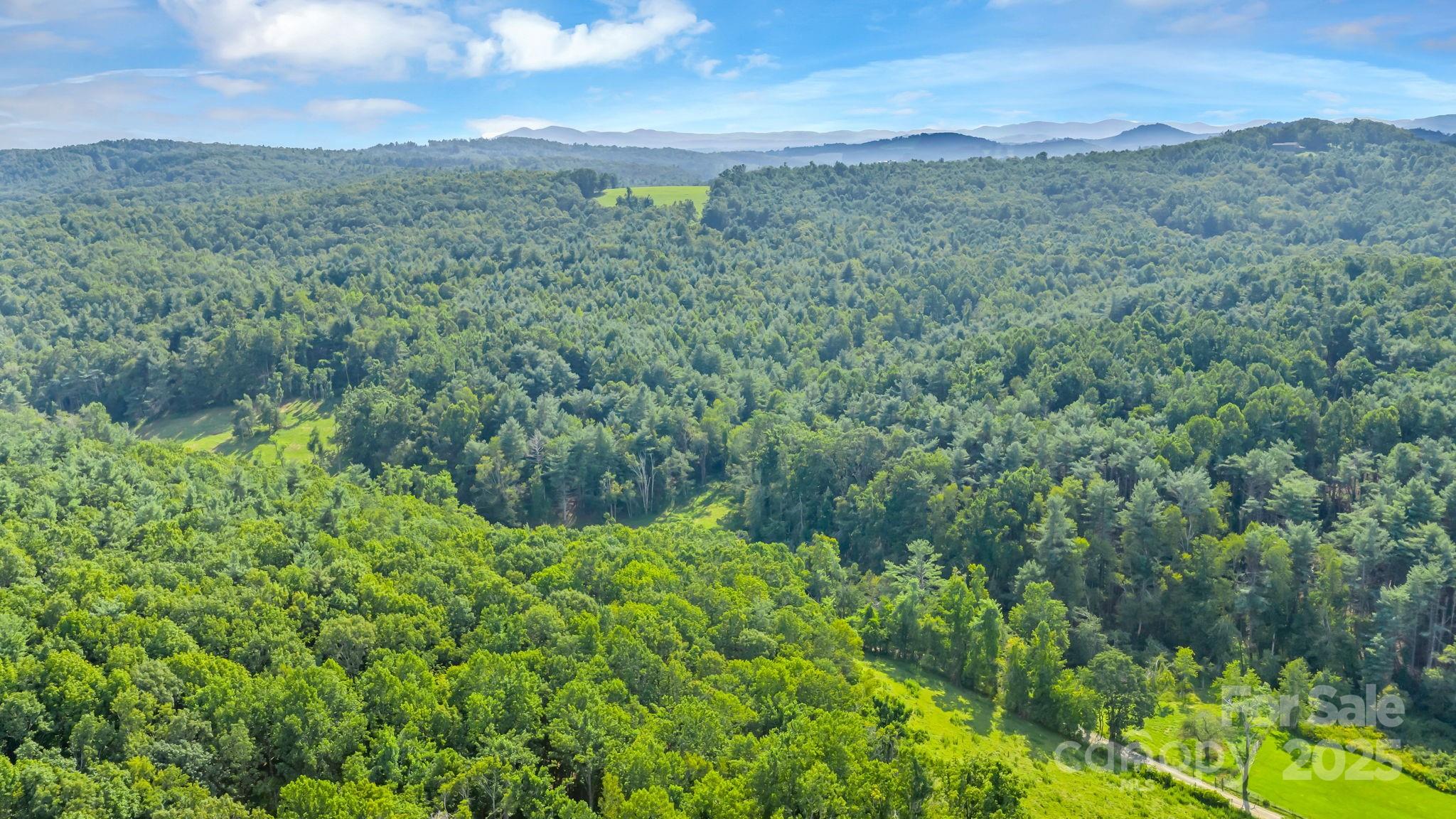 Tbd Murphy Bend Road Ennice NC 28623
