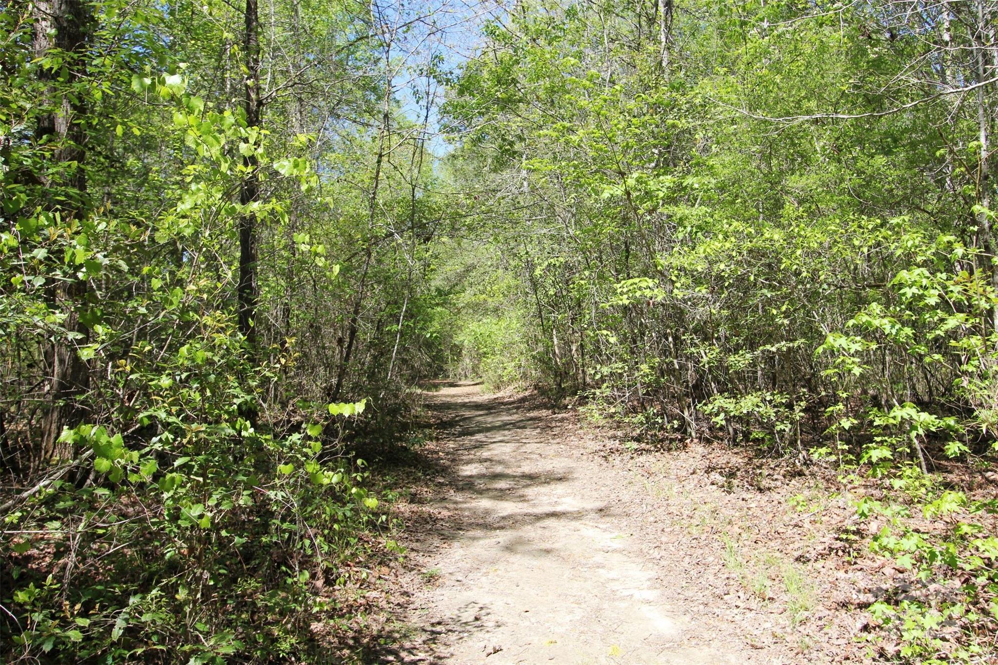 Tbd Goldenrod Drive Carthage NC 28327