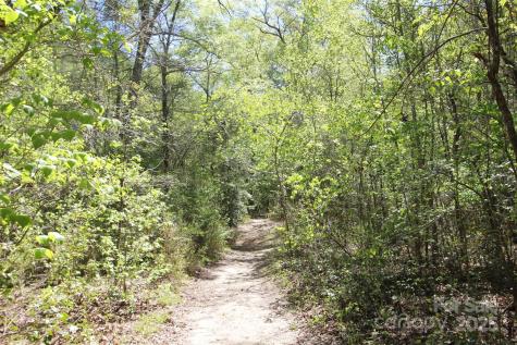 Tbd Goldenrod Drive Carthage NC 28327