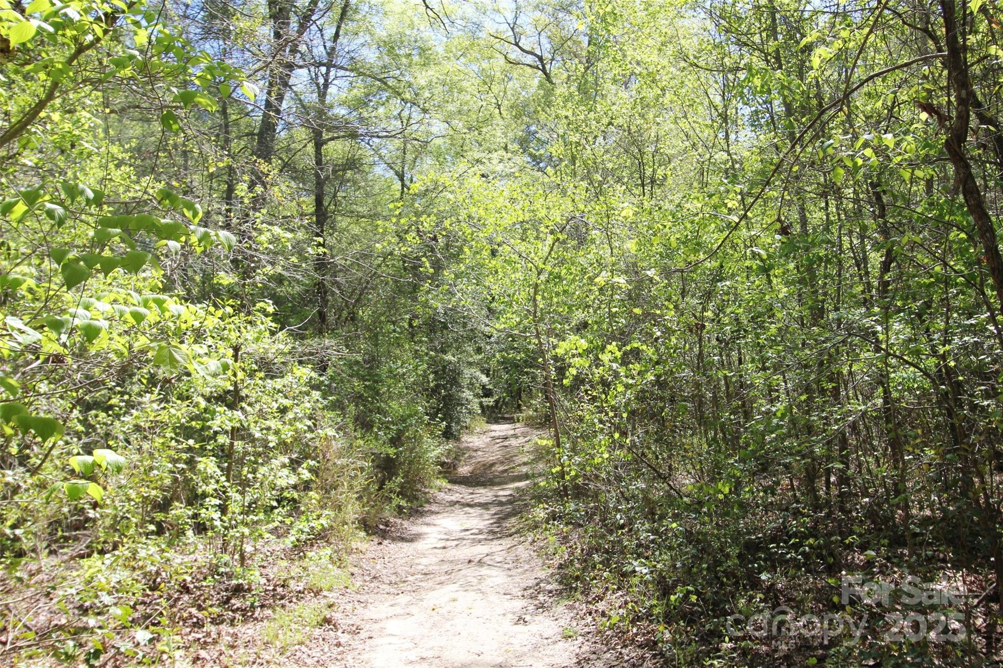 Tbd Goldenrod Drive Carthage NC 28327