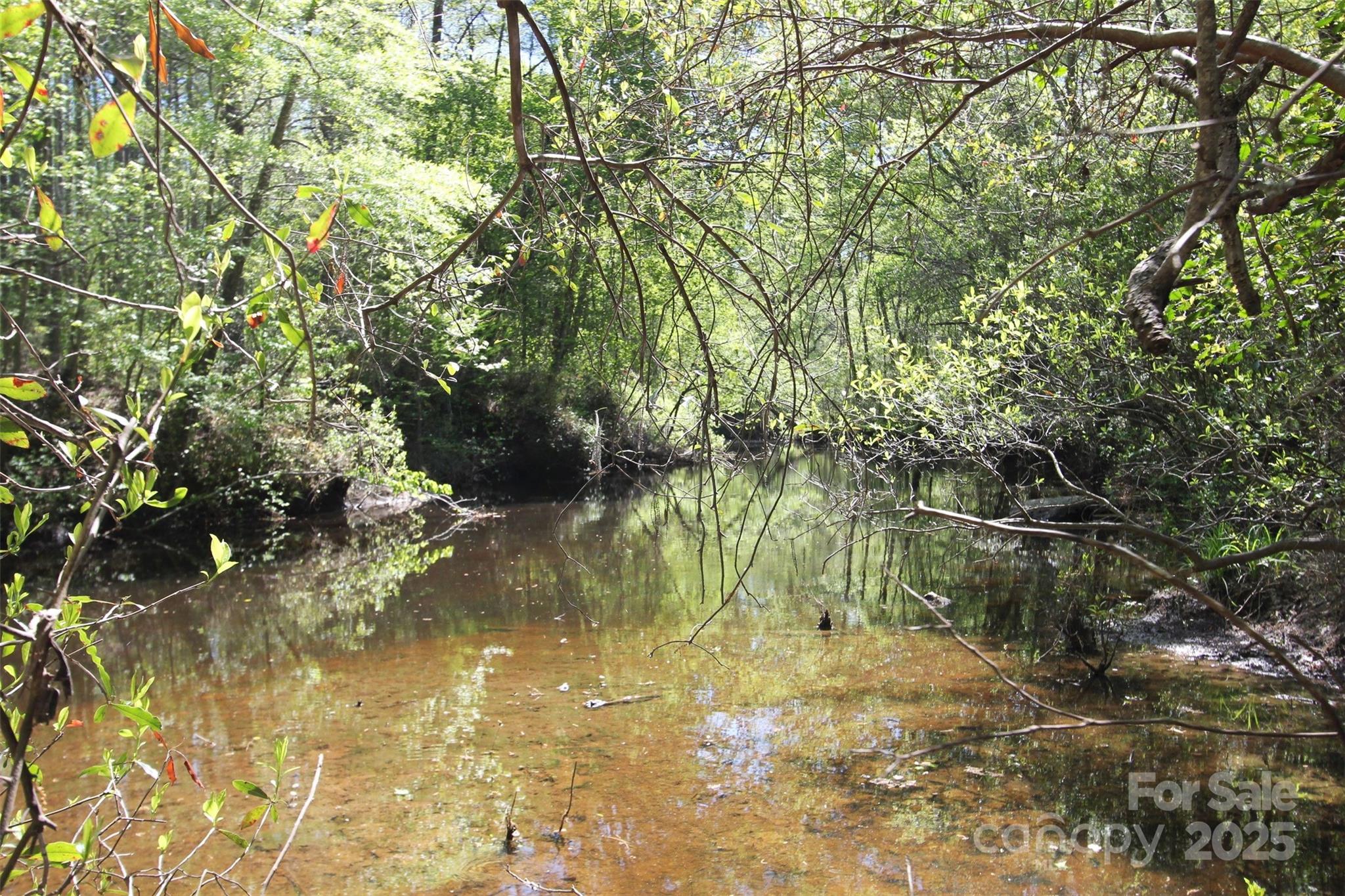 Tbd Goldenrod Drive Carthage NC 28327
