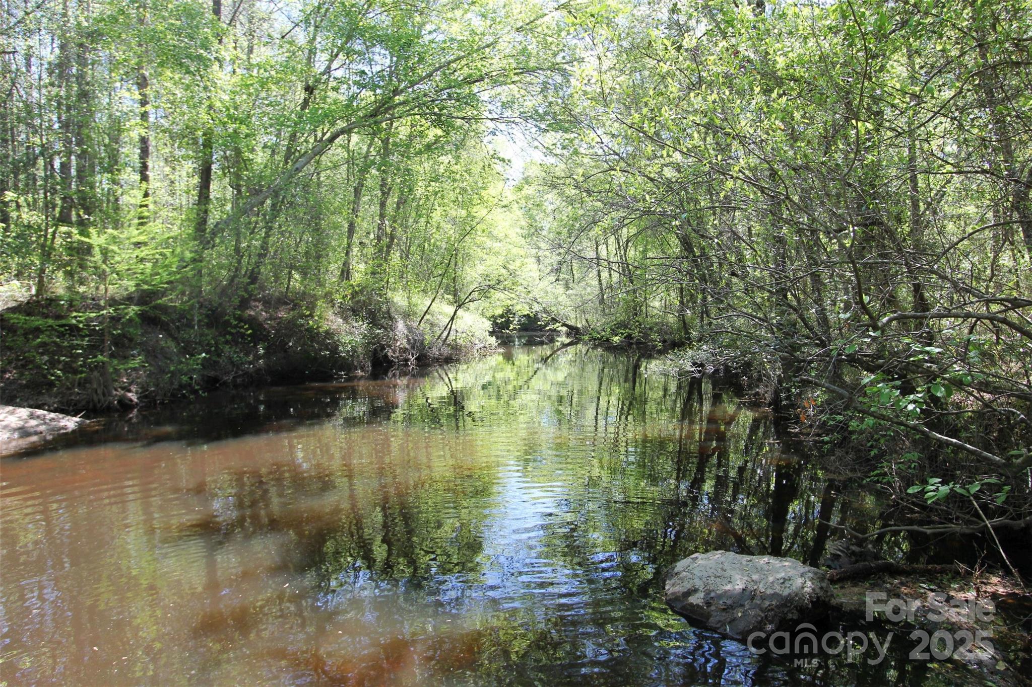 Tbd Goldenrod Drive Carthage NC 28327
