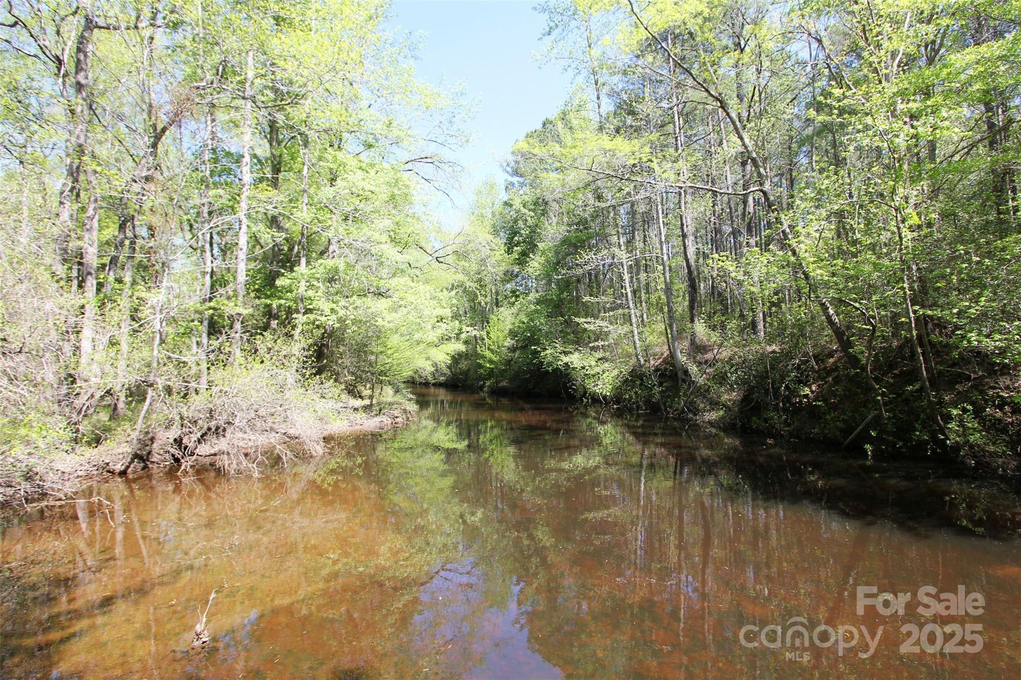 Tbd Goldenrod Drive Carthage NC 28327