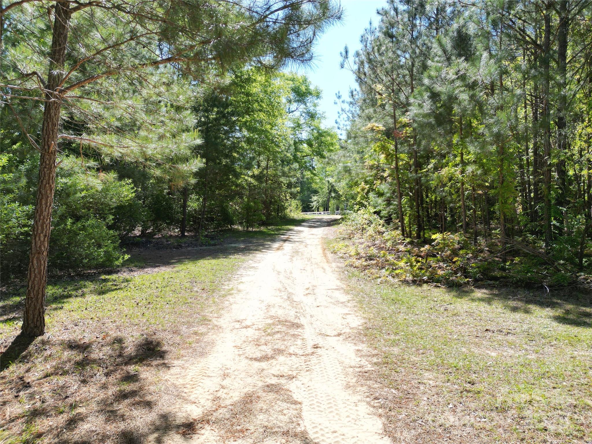 Tbd Goldenrod Drive Carthage NC 28327