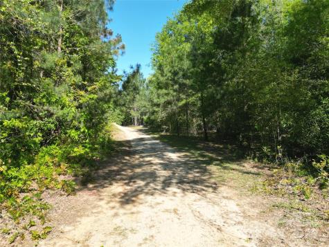 Tbd Goldenrod Drive Carthage NC 28327