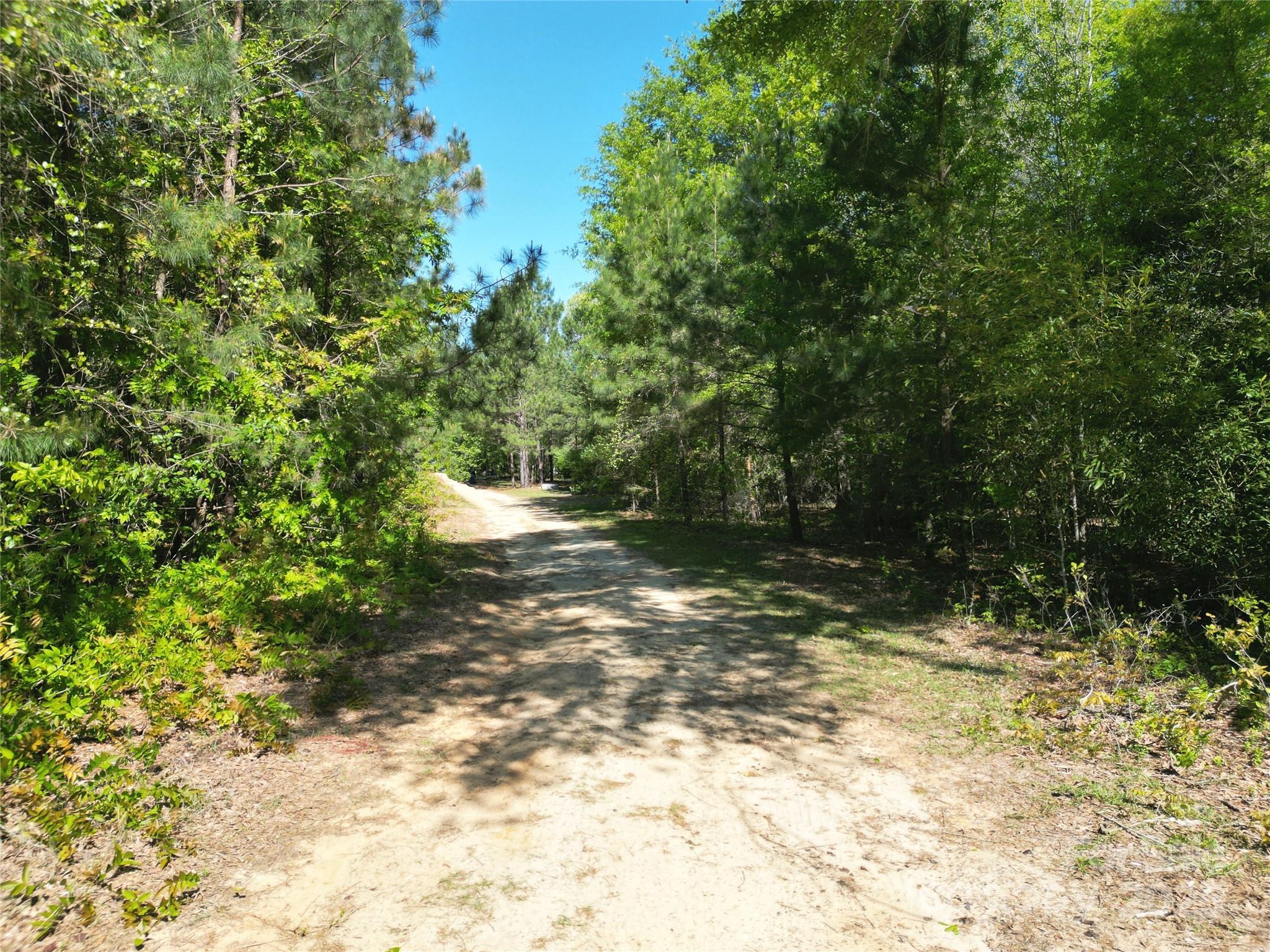 Tbd Goldenrod Drive Carthage NC 28327