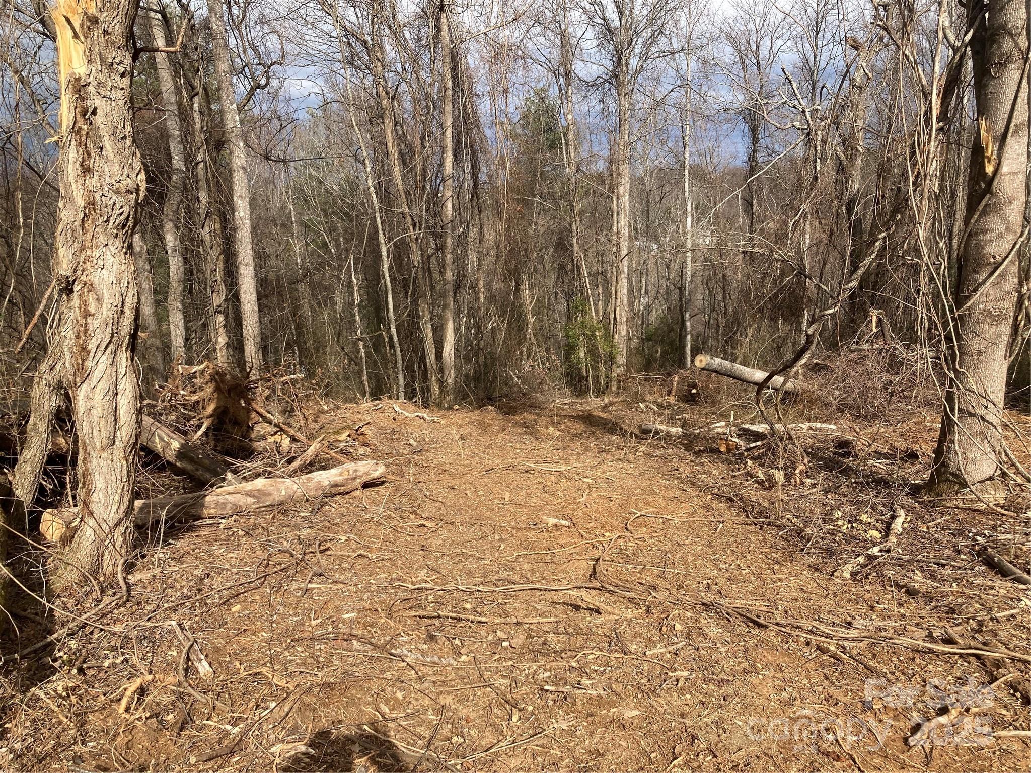 1638 Continental Divide Road Flat Rock NC 28731