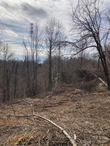 1638 Continental Divide Road Flat Rock NC 28731