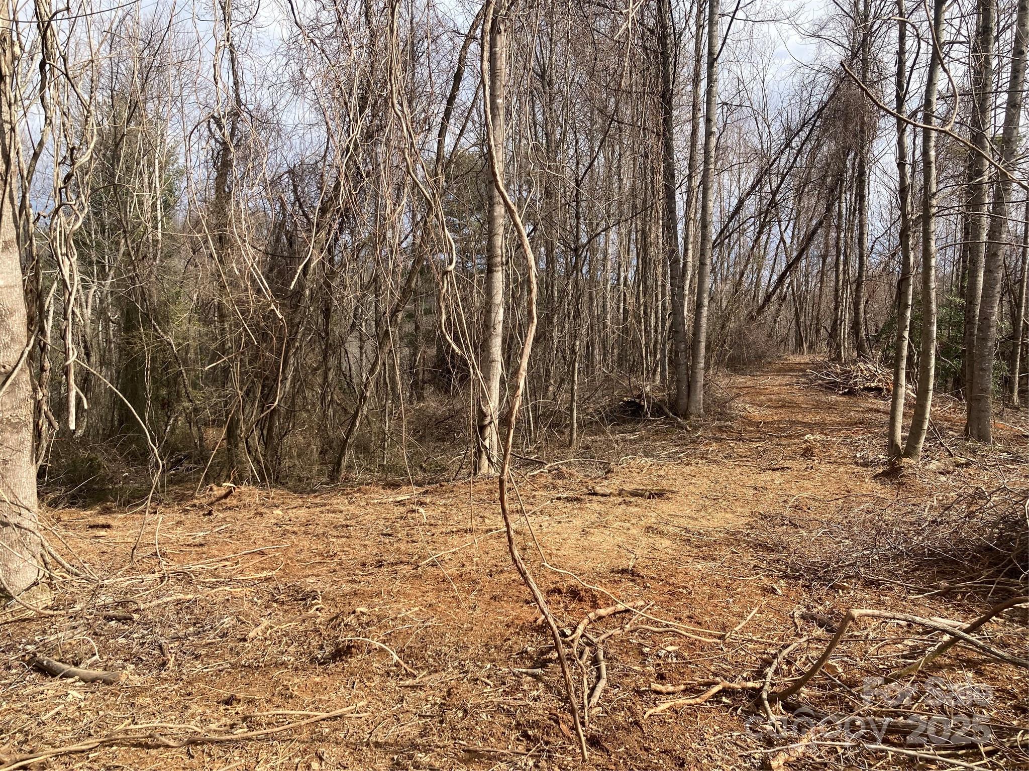 1638 Continental Divide Road Flat Rock NC 28731