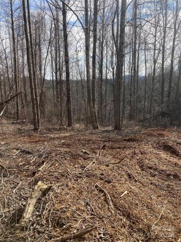 1638 Continental Divide Road Flat Rock NC 28731