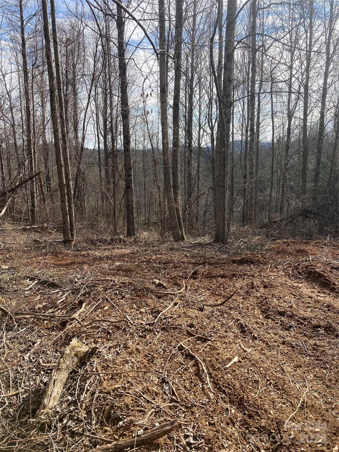 1638 Continental Divide Road Flat Rock NC 28731