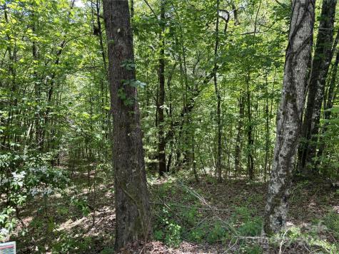 87 Stepp Ridge Court Hendersonville NC 28792