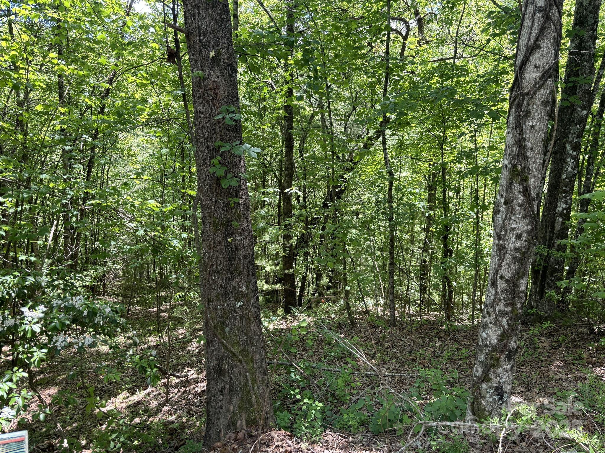 87 Stepp Ridge Court Hendersonville NC 28792