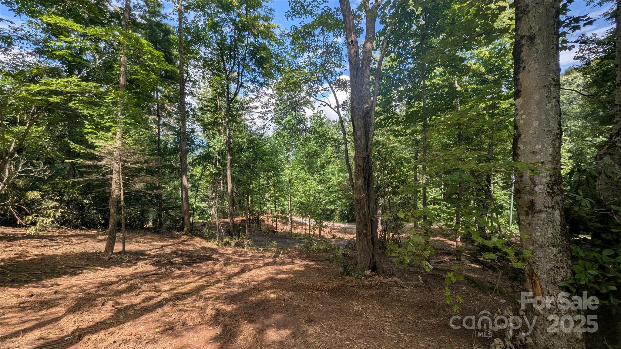 707 Apple Tree Court Waynesville NC 28786