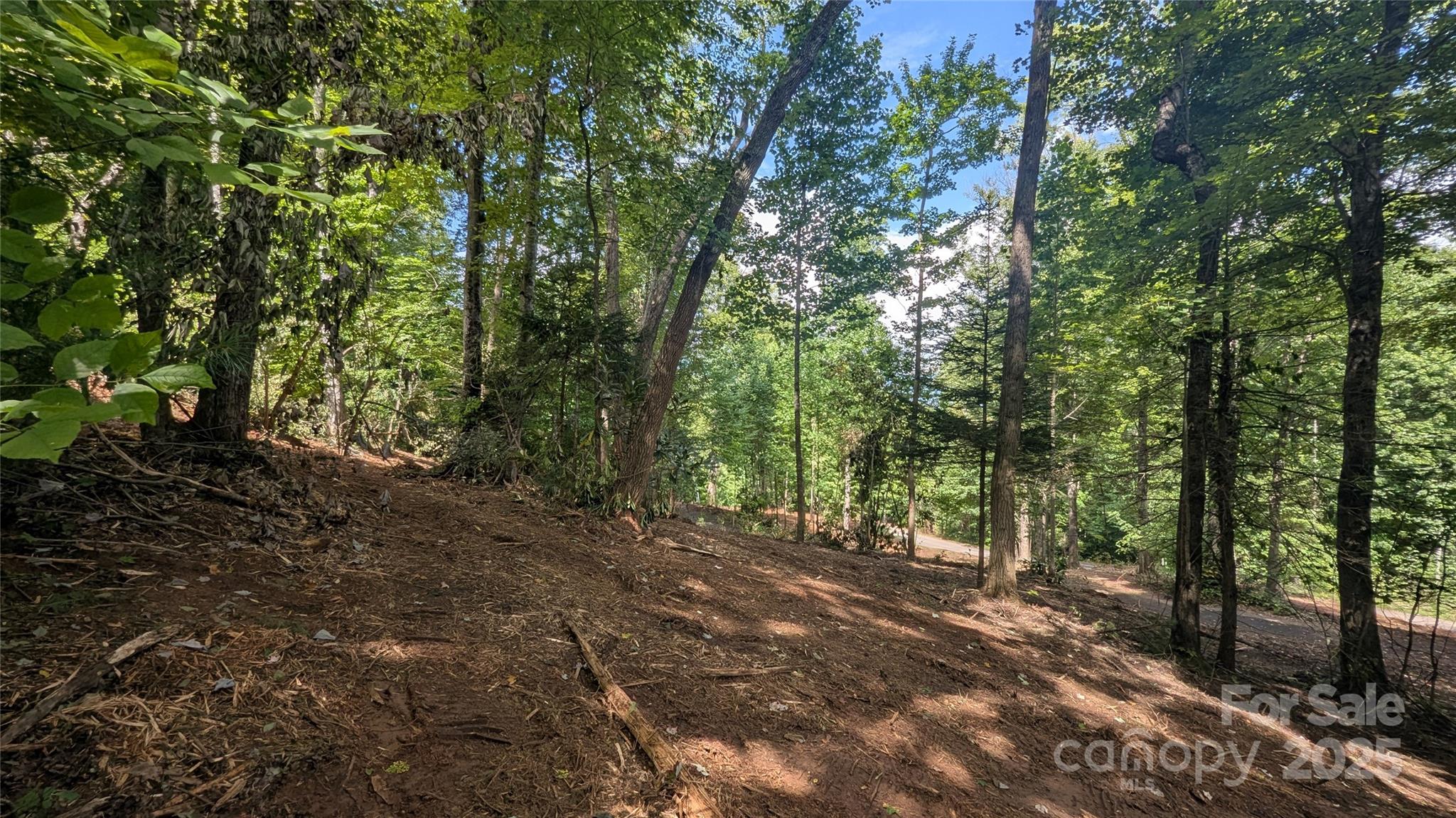 707 Apple Tree Court Waynesville NC 28786