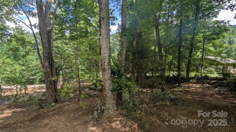 707 Apple Tree Court Waynesville NC 28786