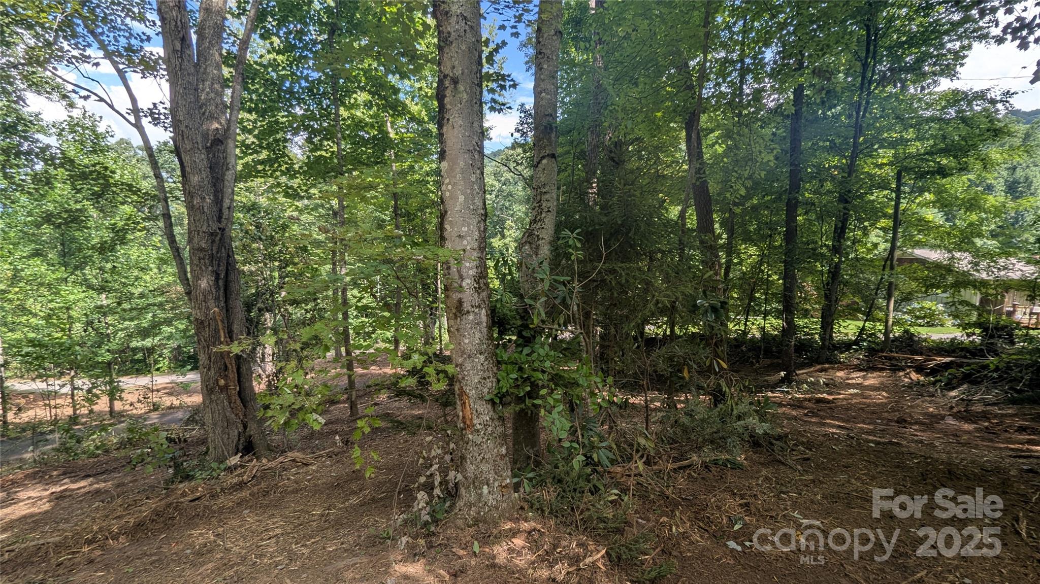 707 Apple Tree Court Waynesville NC 28786