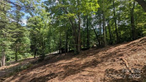 707 Apple Tree Court Waynesville NC 28786