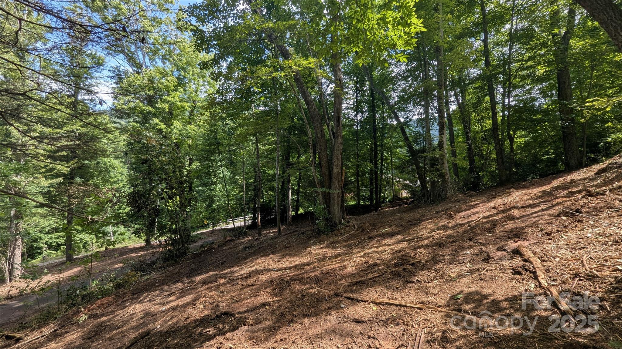 707 Apple Tree Court Waynesville NC 28786