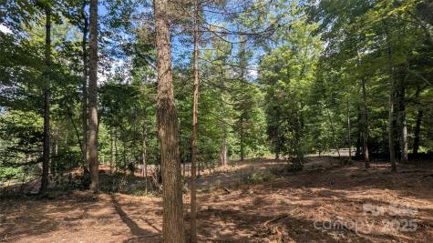 707 Apple Tree Court Waynesville NC 28786