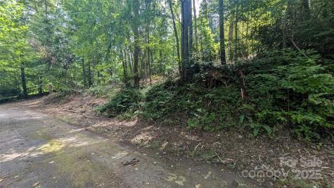 707 Apple Tree Court Waynesville NC 28786