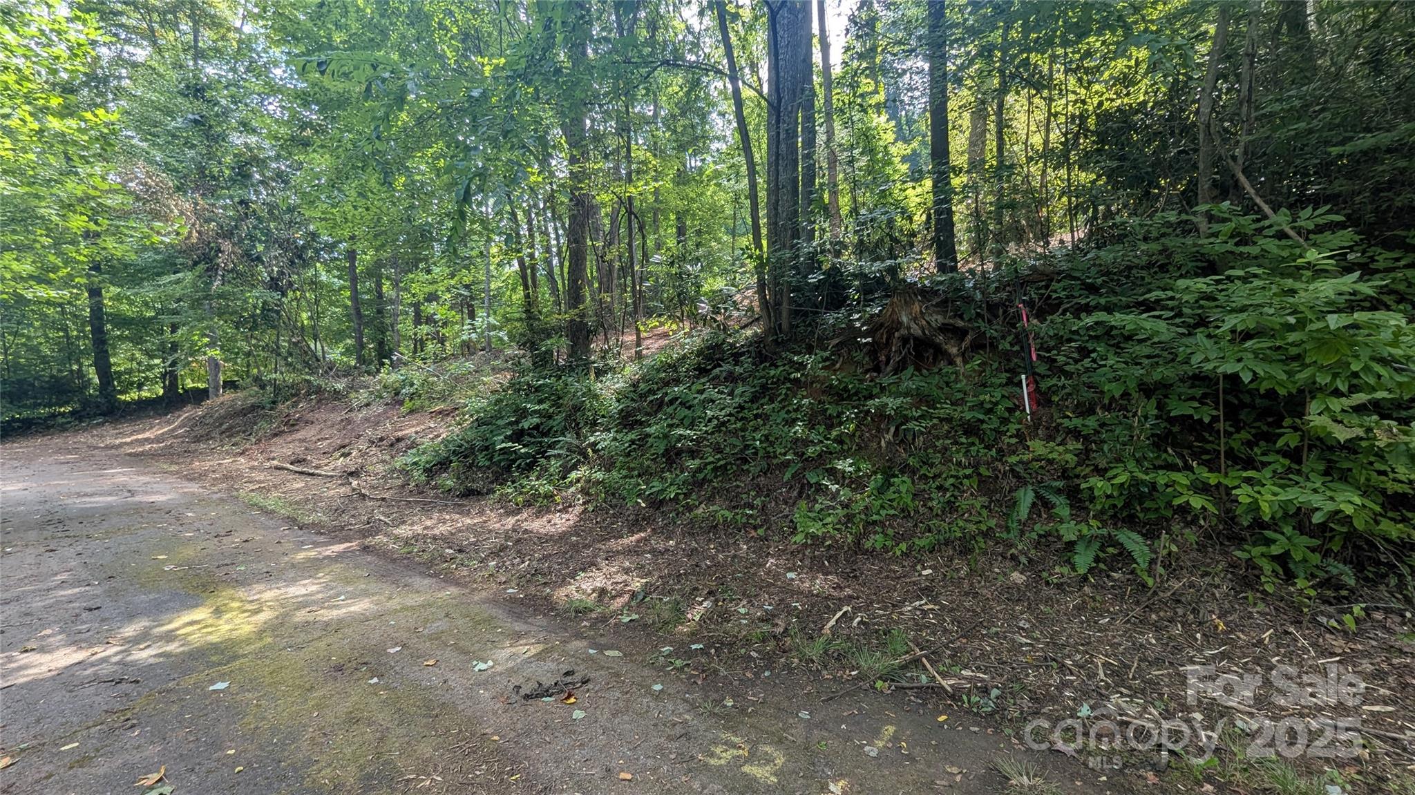707 Apple Tree Court Waynesville NC 28786