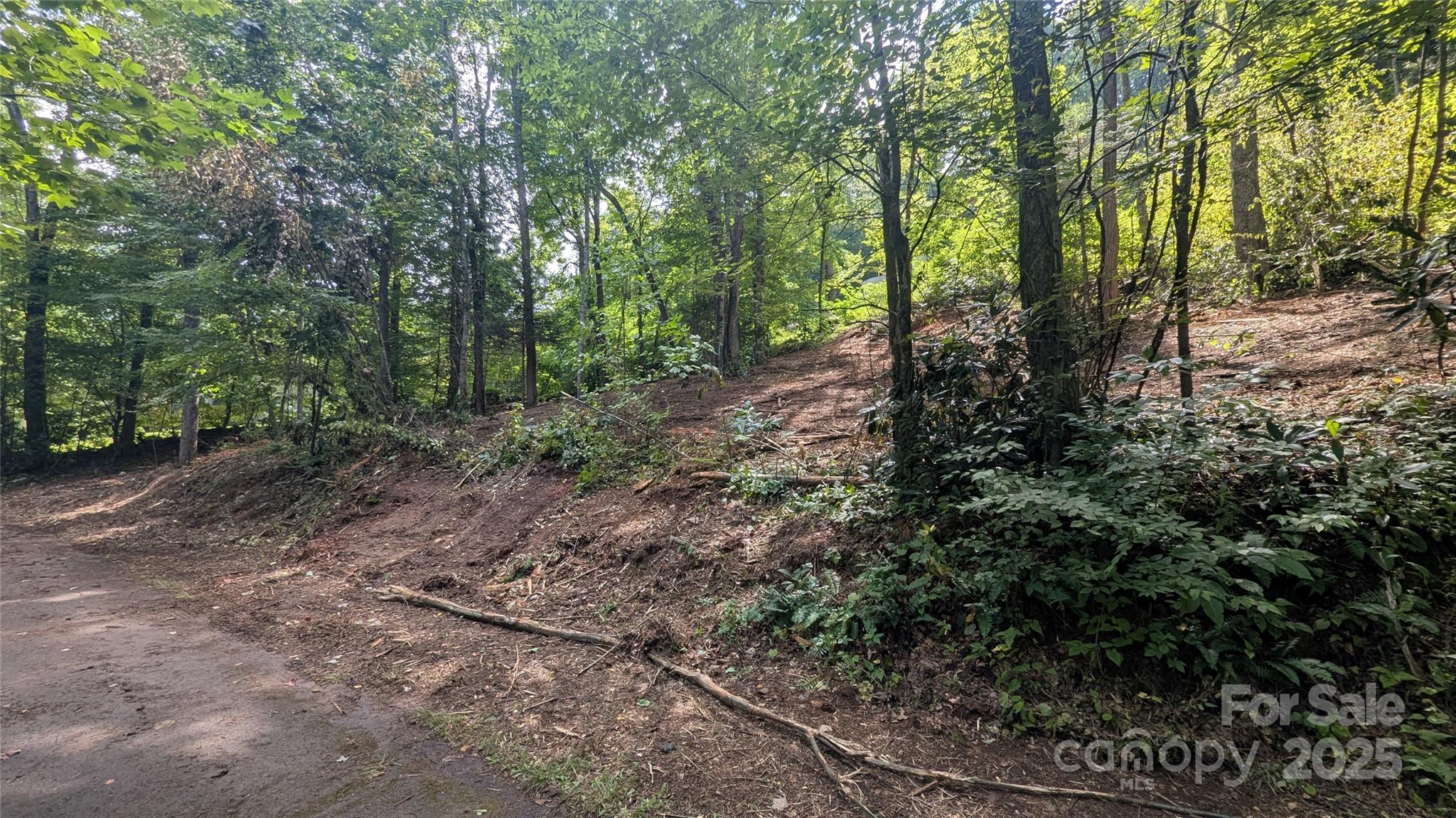 707 Apple Tree Court Waynesville NC 28786