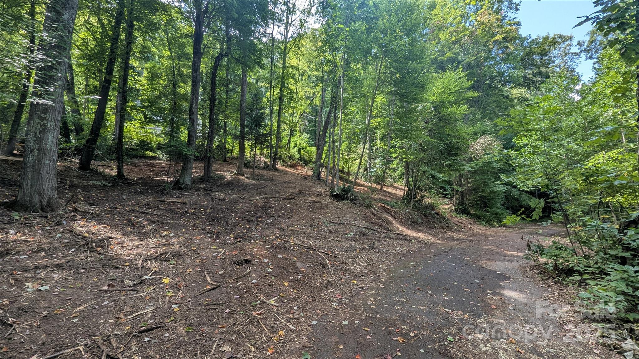 707 Apple Tree Court Waynesville NC 28786