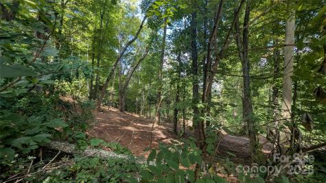 707 Apple Tree Court Waynesville NC 28786