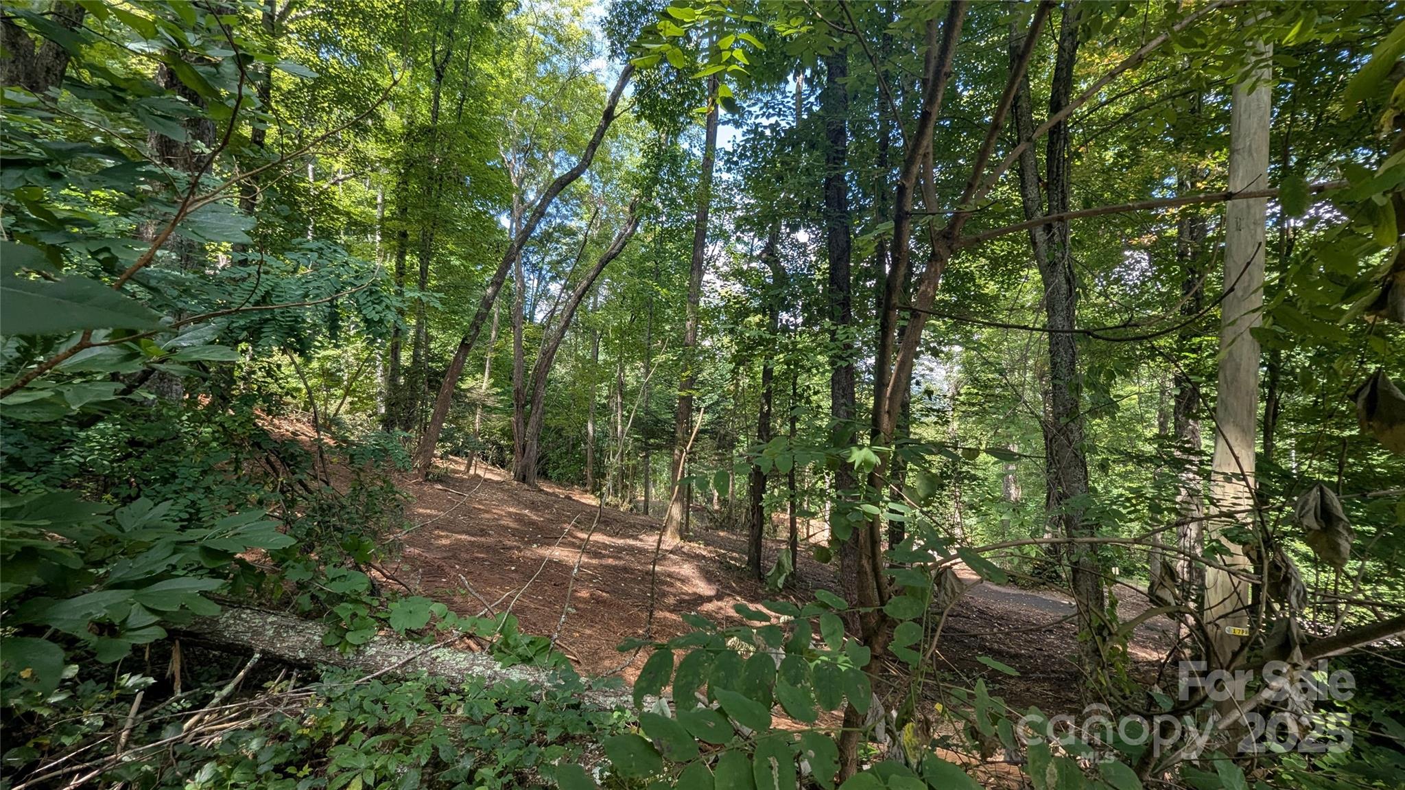 707 Apple Tree Court Waynesville NC 28786