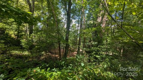 707 Apple Tree Court Waynesville NC 28786