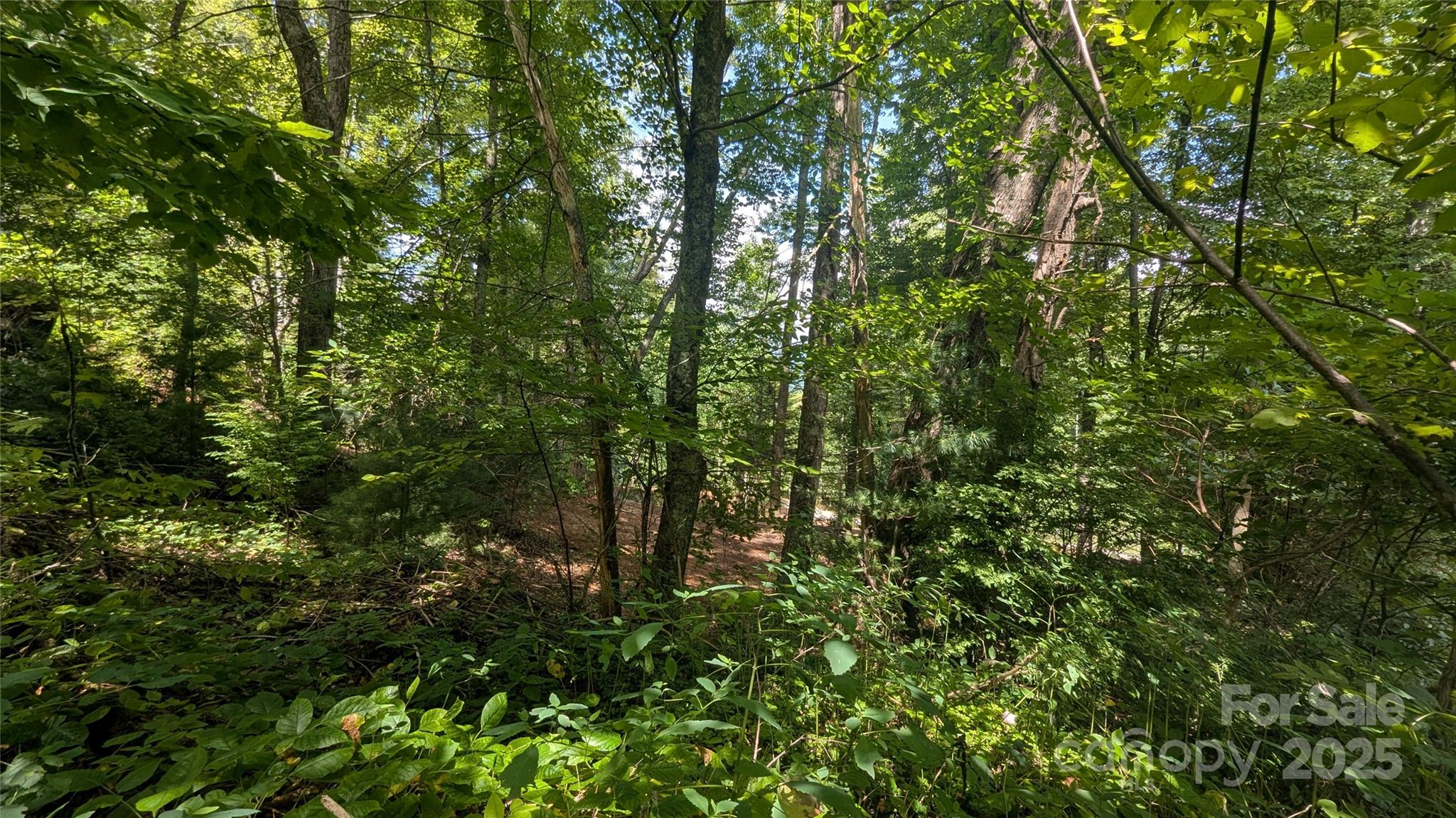 707 Apple Tree Court Waynesville NC 28786