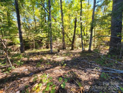 0 Horse Creek Drive Mill Spring NC 28756