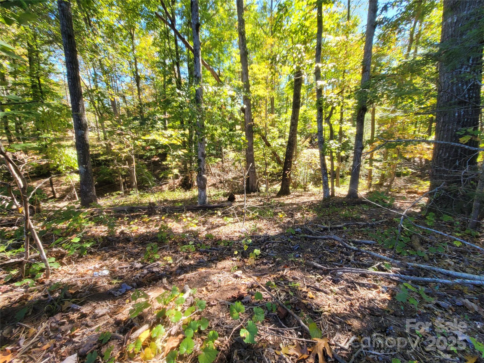 0 Horse Creek Drive Mill Spring NC 28756