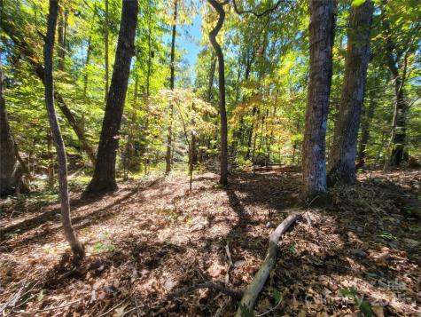 0 Horse Creek Drive Mill Spring NC 28756