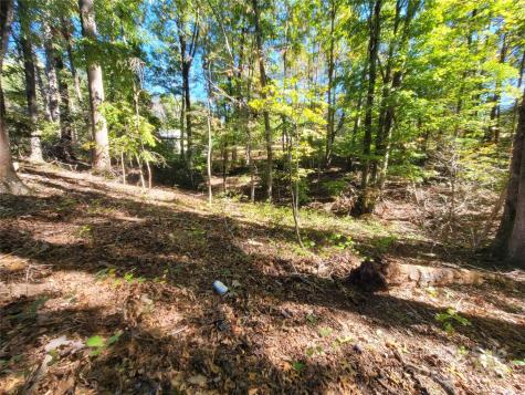 0 Horse Creek Drive Mill Spring NC 28756