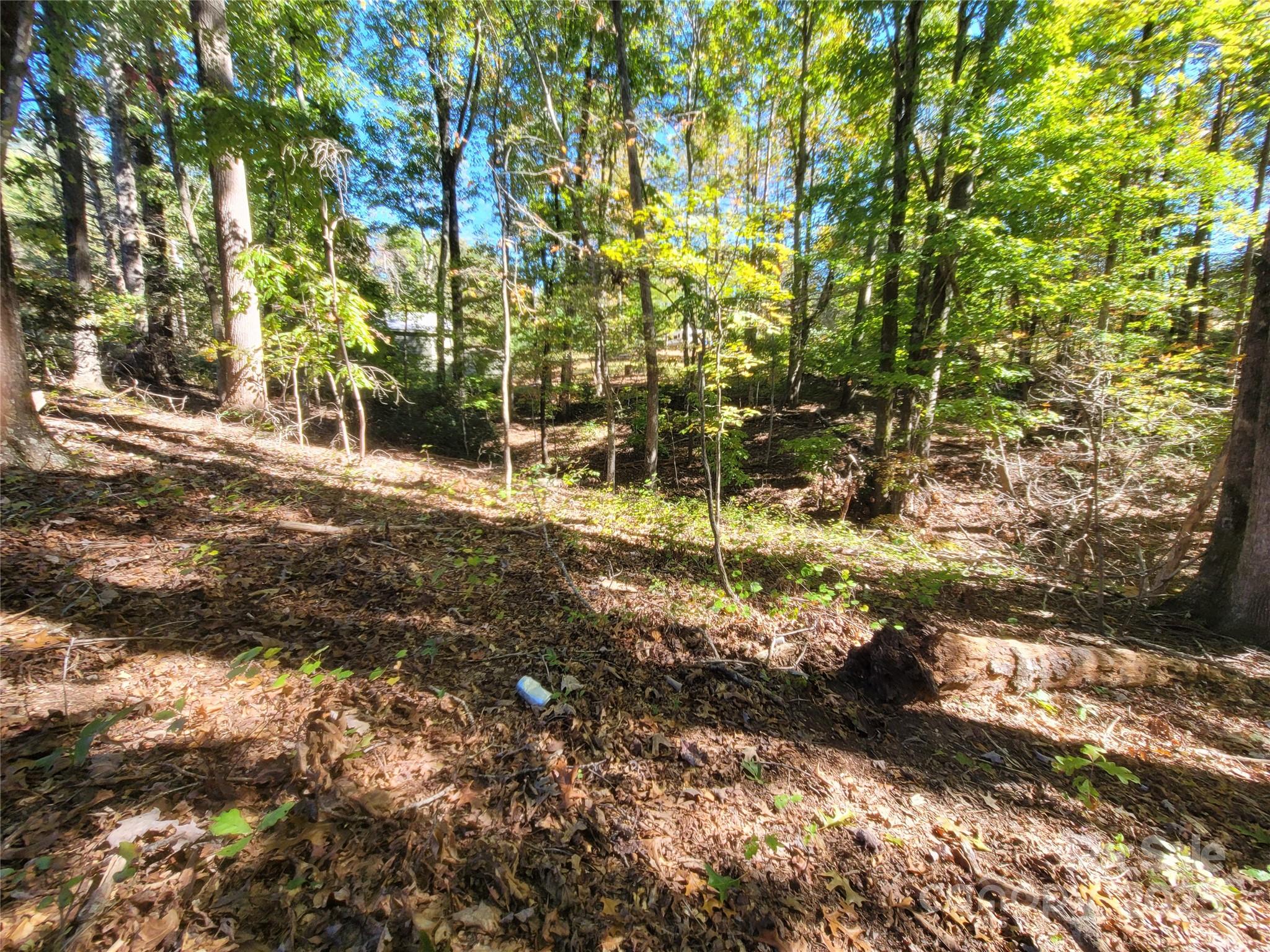 0 Horse Creek Drive Mill Spring NC 28756