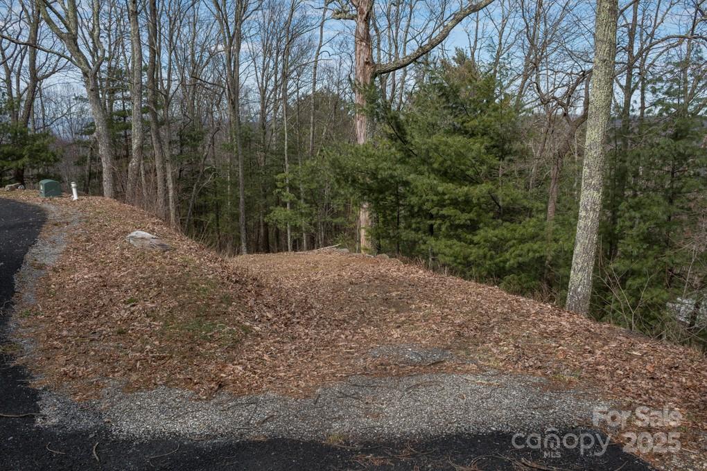 999 Falconwood Lane Asheville NC 28804