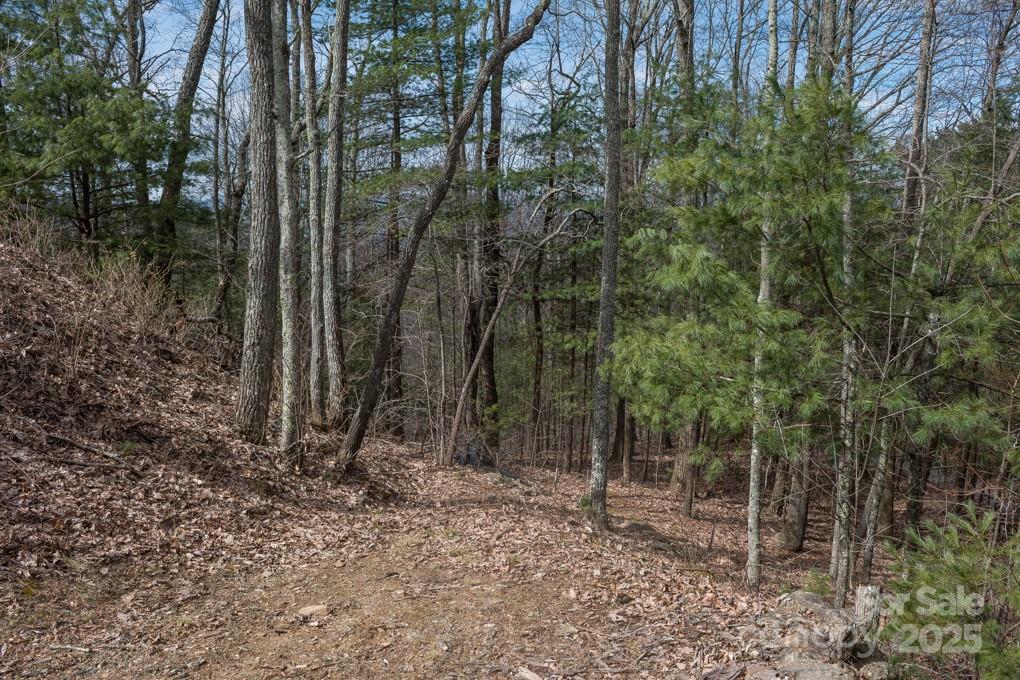 999 Falconwood Lane Asheville NC 28804
