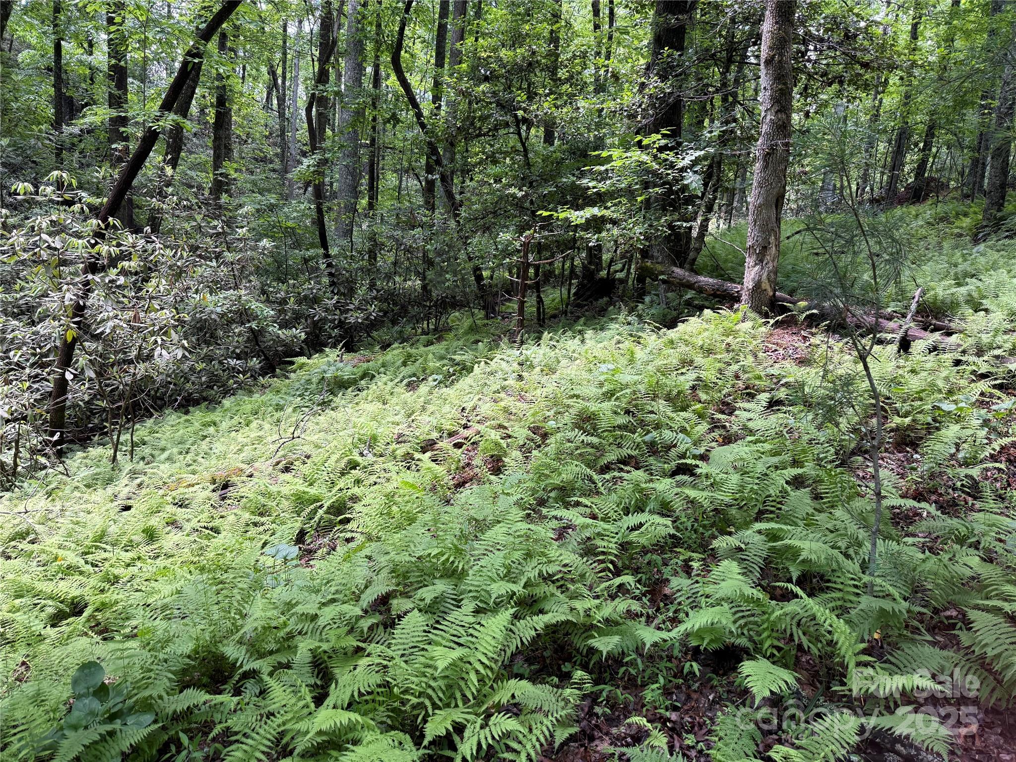 Tbd Caroline Lane Pisgah Forest NC 28768