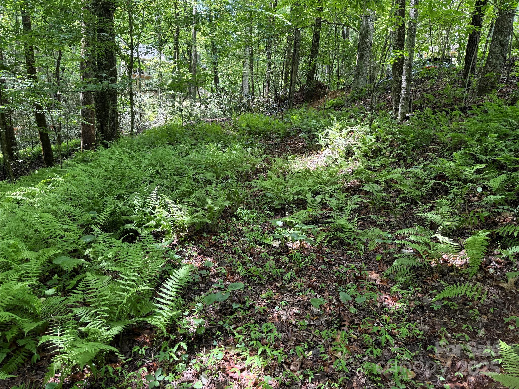 Tbd Caroline Lane Pisgah Forest NC 28768