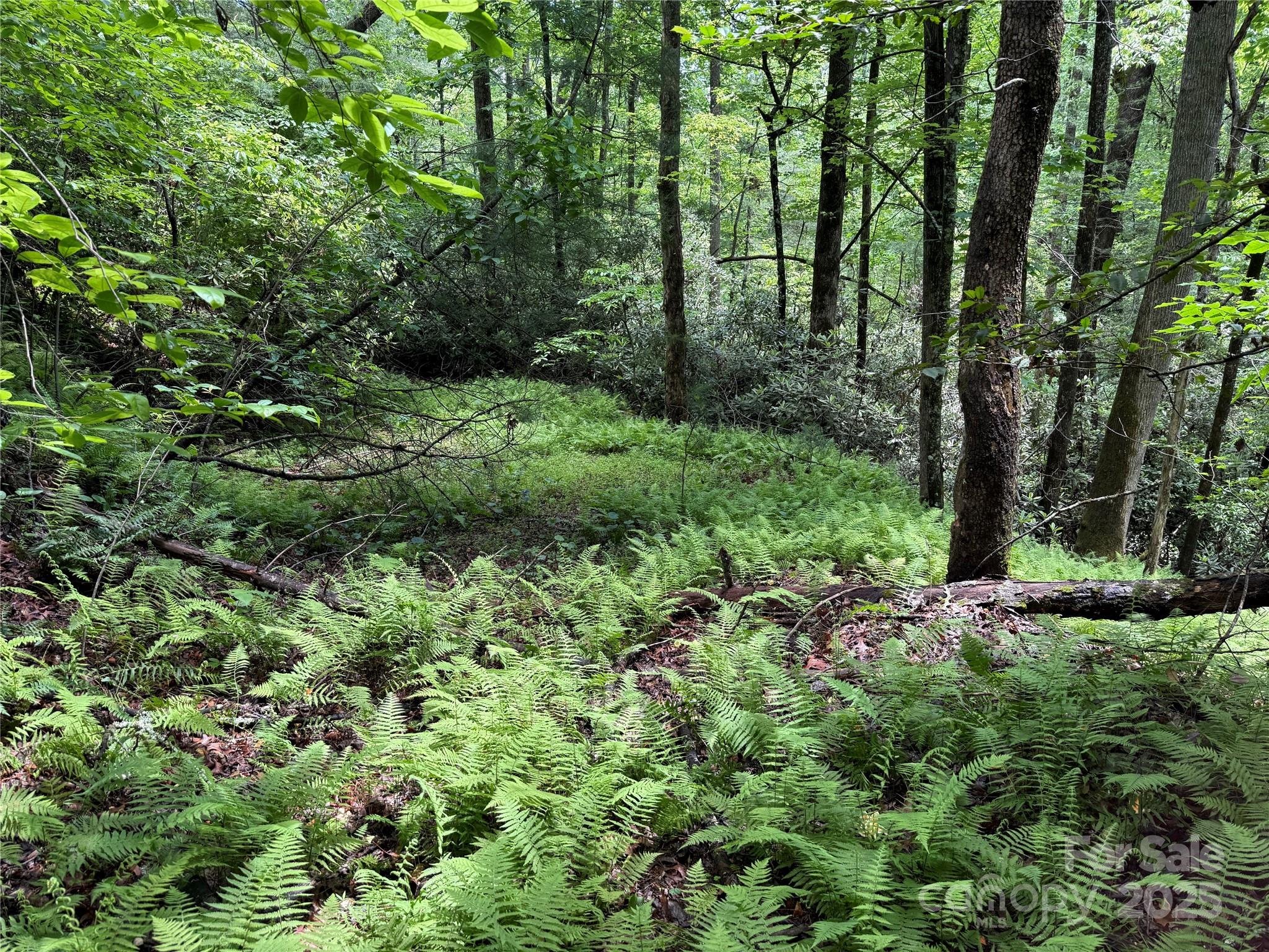 Tbd Caroline Lane Pisgah Forest NC 28768