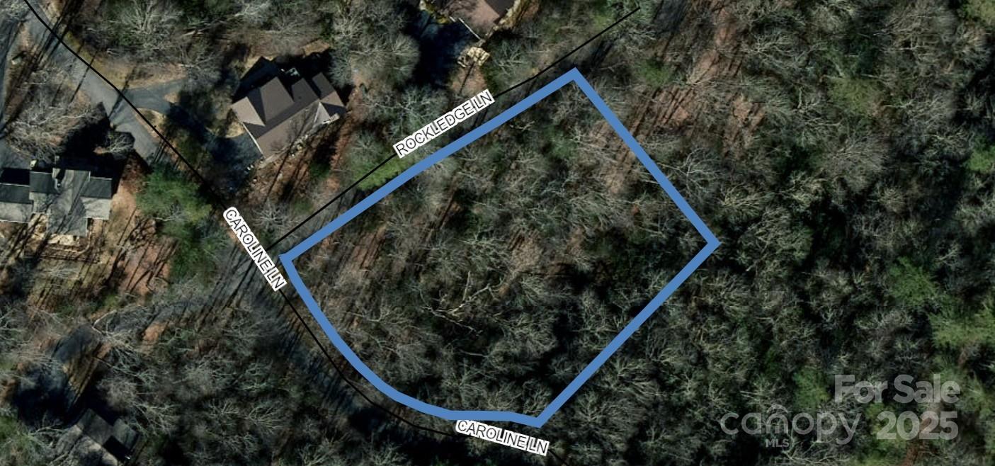 Tbd Caroline Lane Pisgah Forest NC 28768
