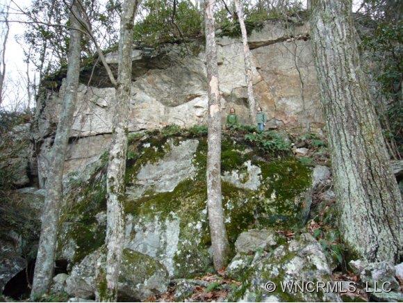 25 Chesten Mountain Drive Asheville NC 28803